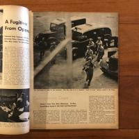 [英]PIC The Magazine for Young Men　March 1946