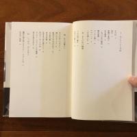 絶頂の危うさ （サイン入）: danger on peaks