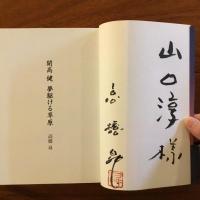開高健 夢駆ける草原