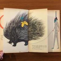 [英]animals for sale
