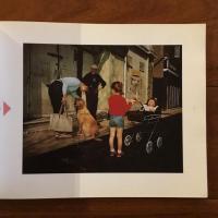 [英]RESORT  Photographs of New Brighton