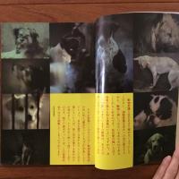 アサヒカメラ 1983年1月増刊号 いま、写真とは