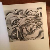 [伊]Tina Modotti. Perche non muore il fuoco