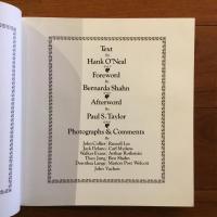 [英]A Vision Shared:A Classic Portrait of America and Its People, 1935-1943