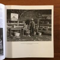 [英]A Vision Shared:A Classic Portrait of America and Its People, 1935-1943