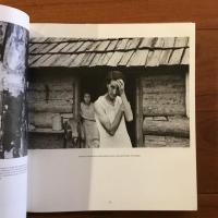 [英]A Vision Shared:A Classic Portrait of America and Its People, 1935-1943