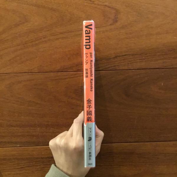 Vamp（ヴァンプ） 放蕩娘(金子國義) / 古本、中古本、古書籍の