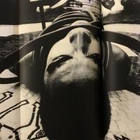 薔薇刑 細江英公写真集 完全復刻版 三島由紀夫