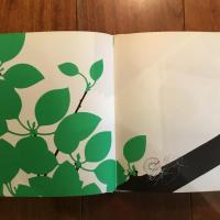 [英]THE APPLE AND THE BUTTERFLY　（りんごとちょう）英語版