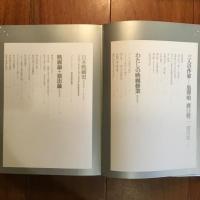 映画監督　増村保造の世界