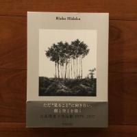 Rieko Hidaka　日高理恵子作品集　1979‐2017