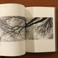Rieko Hidaka　日高理恵子作品集　1979‐2017