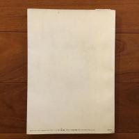 GA グローバル・アーキテクチュア No.10 : アルヴァ・アアルト ルイ・カレ邸1956-59/