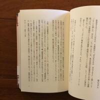 帝国ホテル ライト館の幻影: 孤高の建築家 遠藤新の生涯