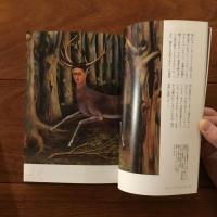 フリーダ・カーロのざわめき (とんぼの本）