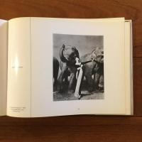 [英]Women in the magic mirror 1842-1981