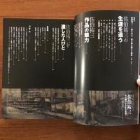 別冊太陽 304 佐伯祐三 その眼がとらえた風景