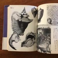 グロテスクの部屋: 人工洞窟と書斎のアナロギア　叢書メラヴィリア