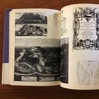 グロテスクの部屋: 人工洞窟と書斎のアナロギア　叢書メラヴィリア