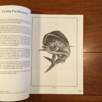 [英]A Woman's No Nonsense Guide To Fly Fishing Favorite Waters