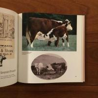 [英]Wholly Cow!