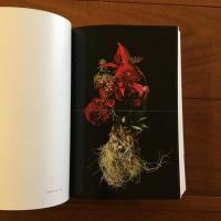 ENCYCLOPEDIA OF FLOWERS 4　植物図鑑
