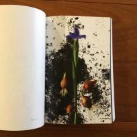 ENCYCLOPEDIA OF FLOWERS 4　植物図鑑