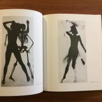 Korperbilder: Fotogramme der sechziger Jahre