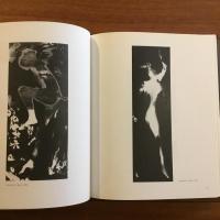 Korperbilder: Fotogramme der sechziger Jahre