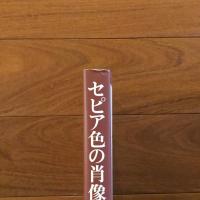 セピア色の肖像: 幕末明治名刺判写真コレクション