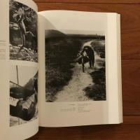 Luz y Tiempo: Coleccion fotografica formada por Manuel Alvarez Bravo para la Fundacion Cultural Televisa, A.C. Vol.1