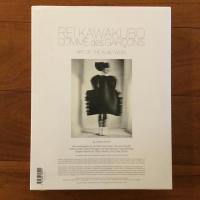 [英]Rei Kawakubo/ Comme des Garcons: Art of the In-Between