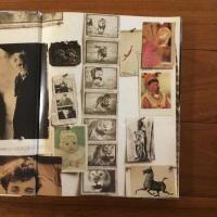 [英]Richard Avedon Evidence 1944-1994