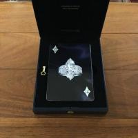 [英]Visionaire 21 Deck of Cards The Diamond Issue