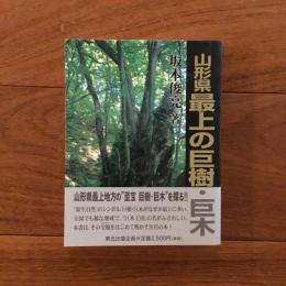 山形県最上の巨樹・巨木