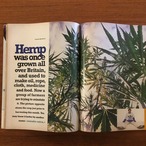 [英]THE FACE No.61 October 1993: the case for (and against) Cannabis