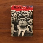 ちょっとピンぼけ