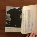 ちょっとピンぼけ