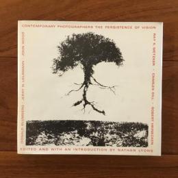 [英]The Persistence of Vision