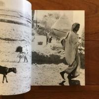 印度亜大陸 神様にいちばん近い人たち: 石田紘一写真集