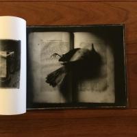 [英]The Secret Books