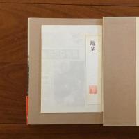 阪神大震災・瞬間証言