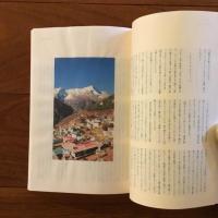 Nepal : Travel Zine series vol.12