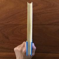 オシャレ泥棒