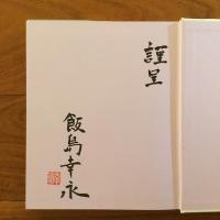 堀文子 美の旅人 画家のまなざしと心を追って: 飯島幸永写真集