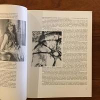 The Platinum Print
