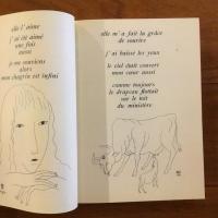 藤田嗣治と愛書都市パリ 花ひらく挿絵本の世紀