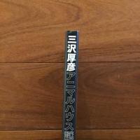 三沢厚彦 アニマルハウス謎の館