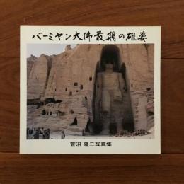 バーミヤン大佛最期の雄姿: 菅沼隆二写真集