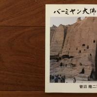 バーミヤン大佛最期の雄姿: 菅沼隆二写真集